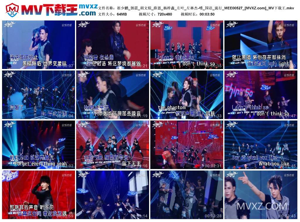 崔少鹏_郭震_胡文煊_薛恩_杨梓鑫_左叶_左林杰-嗜_国语_流行_MEE00527